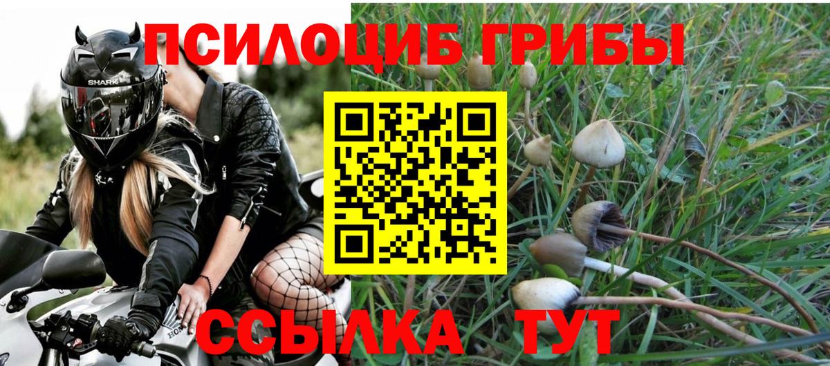 Псилоцибиновые грибы мухоморы Луховицы