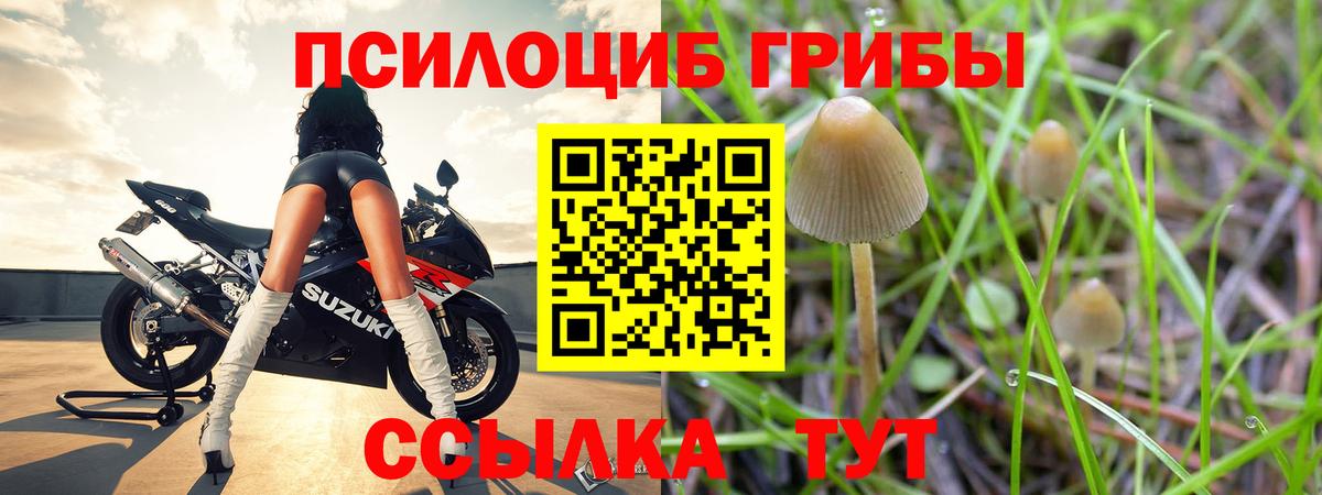 Луховицы  Псилоцибиновые грибы Psilocybine cubensis  Вход с VPN 